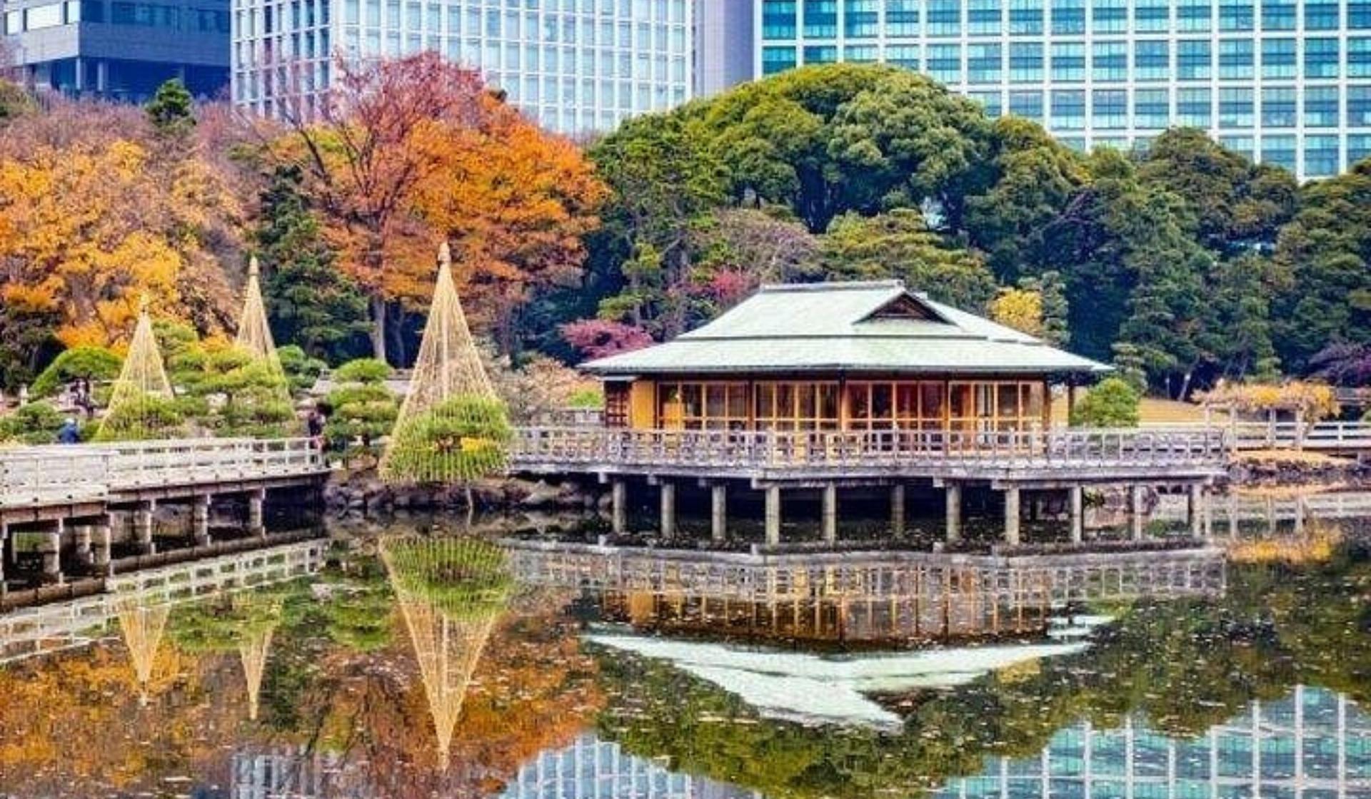 Tsukiji and Hamarikyu Gardens food tour - Thumbnail 9