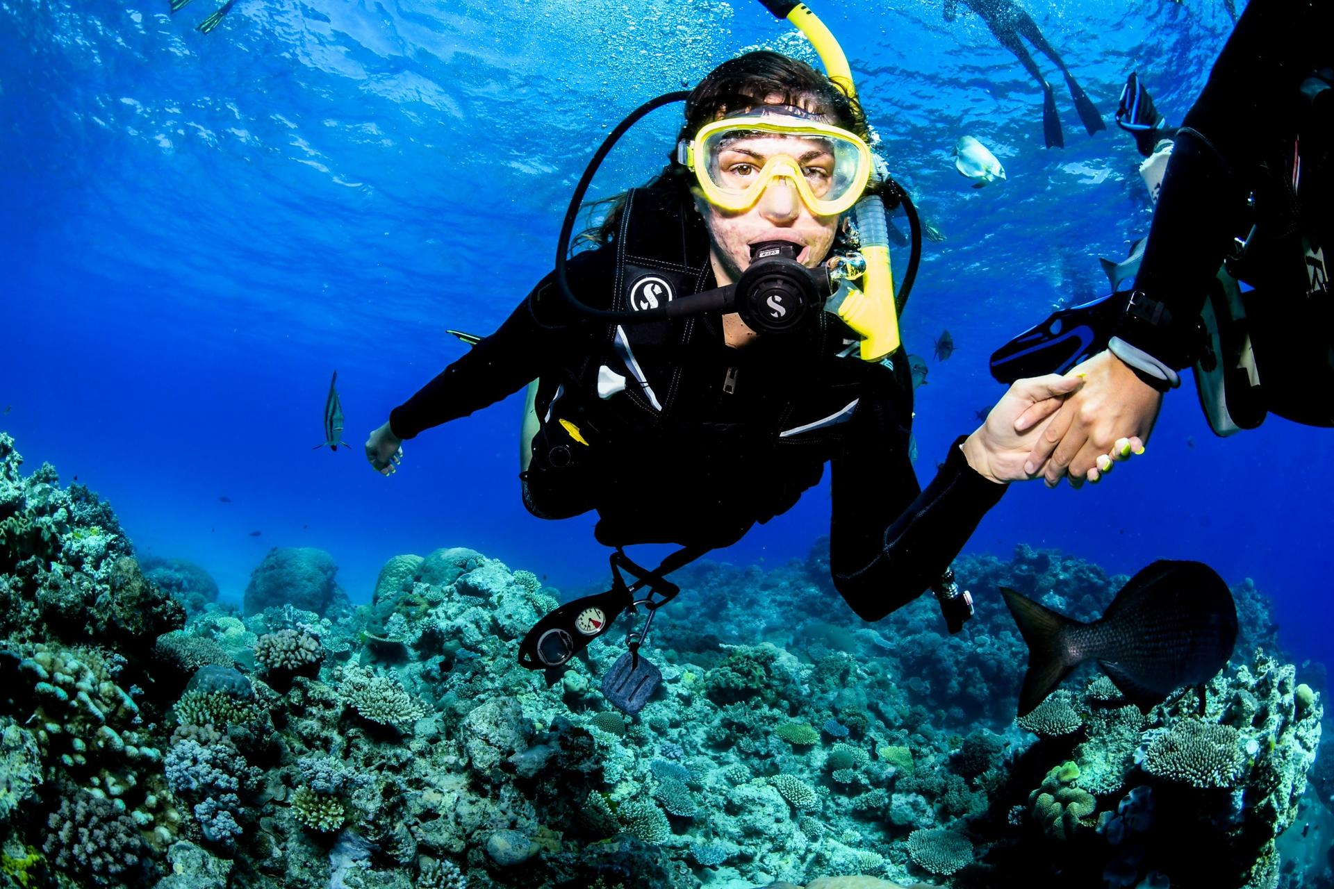 Great Barrier Reef Half Day and Full Day Tours - Thumbnail 17