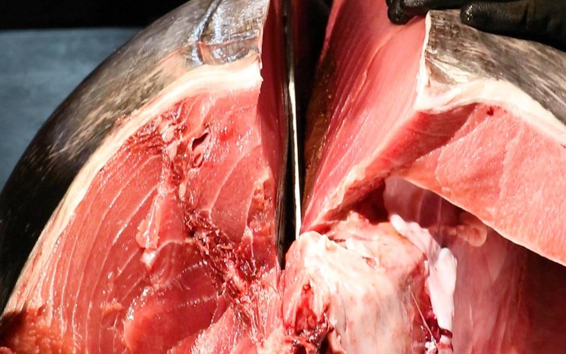 Tokyo: Tuna Cutting Show with Unlimited Sushi & Drinks - Thumbnail 70