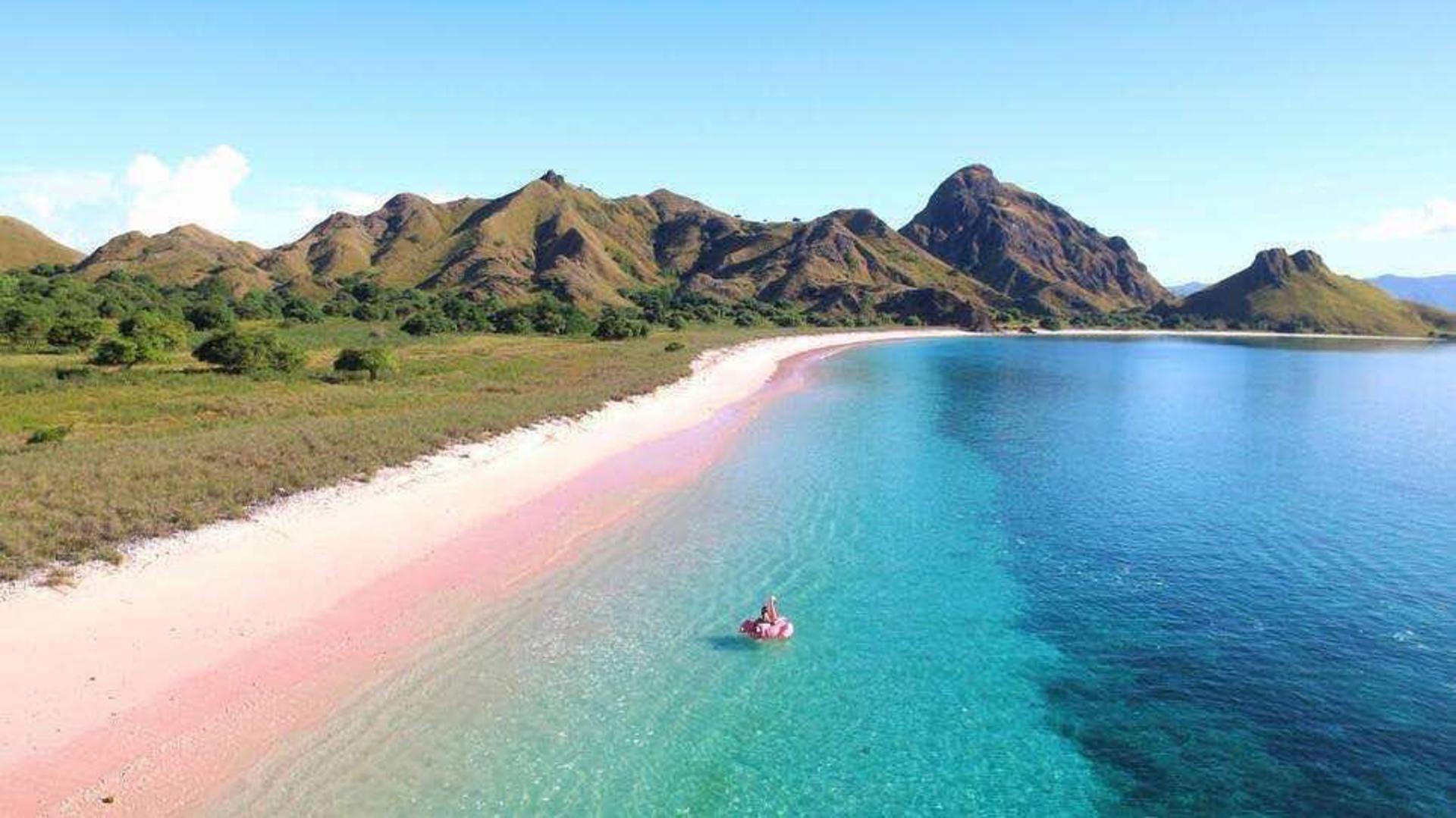 Labuan Bajo Komodo National Park Full-Day National Park Experience - Thumbnail 10