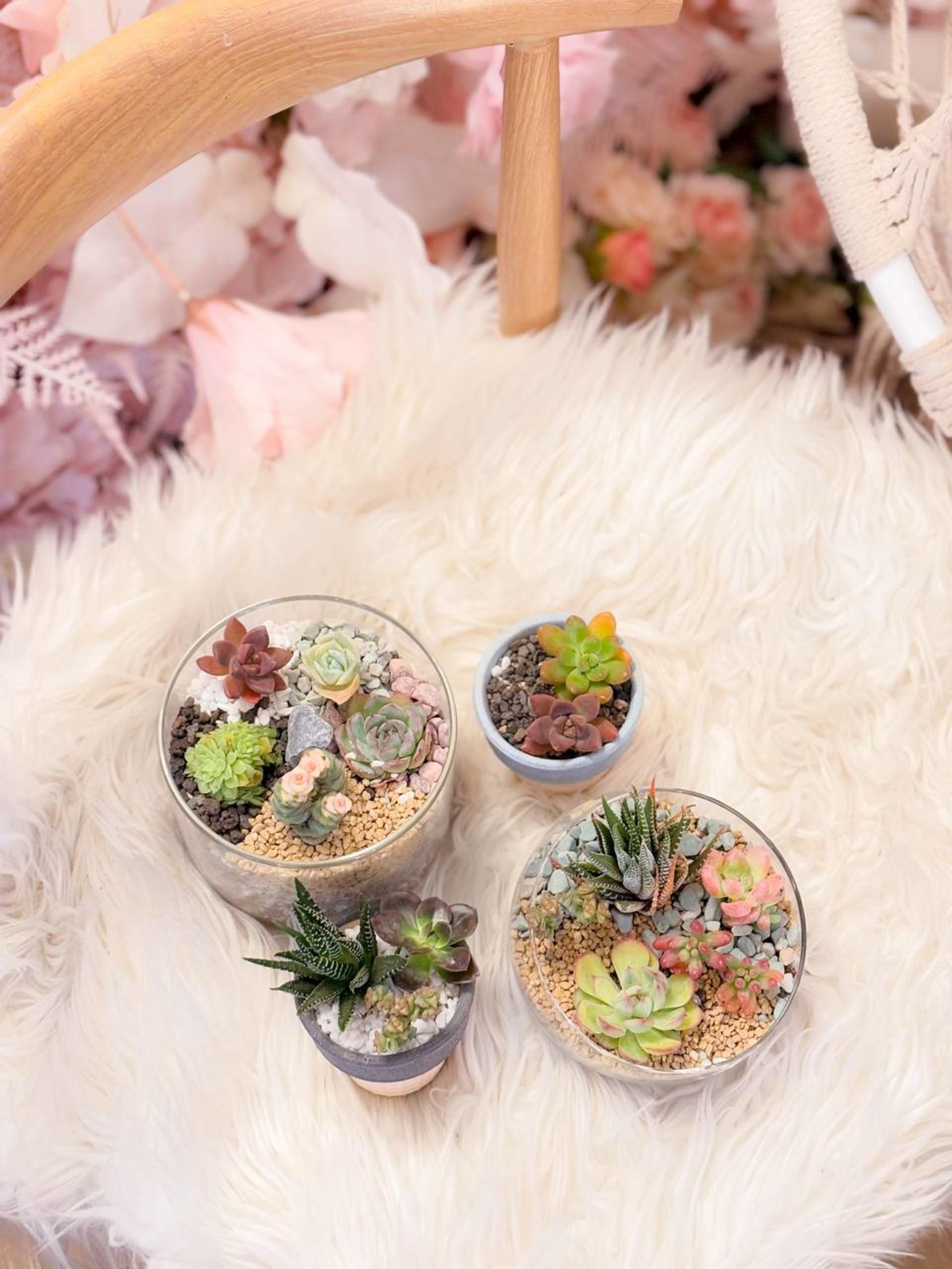 Myosotis Flower - Succulent Terrarium Workshop - Thumbnail 42