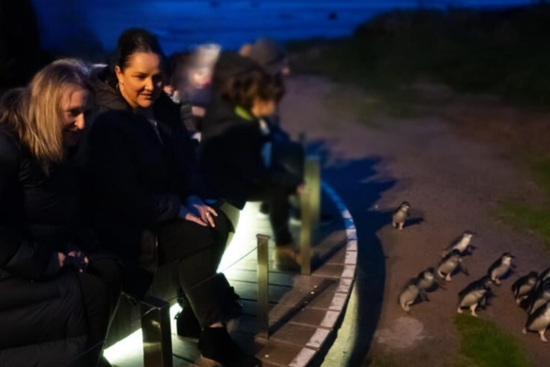 Melbourne Phillip Island Full-Day Private Penguin Parade Tour - Thumbnail 5