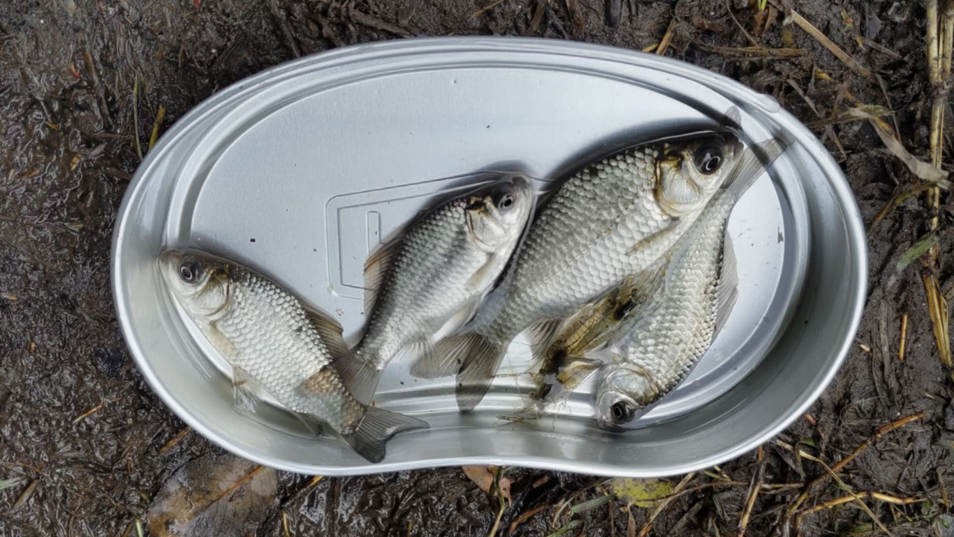 Lampas Outdoor Life: Traditional Japanese Fishing Experience - Thumbnail 23