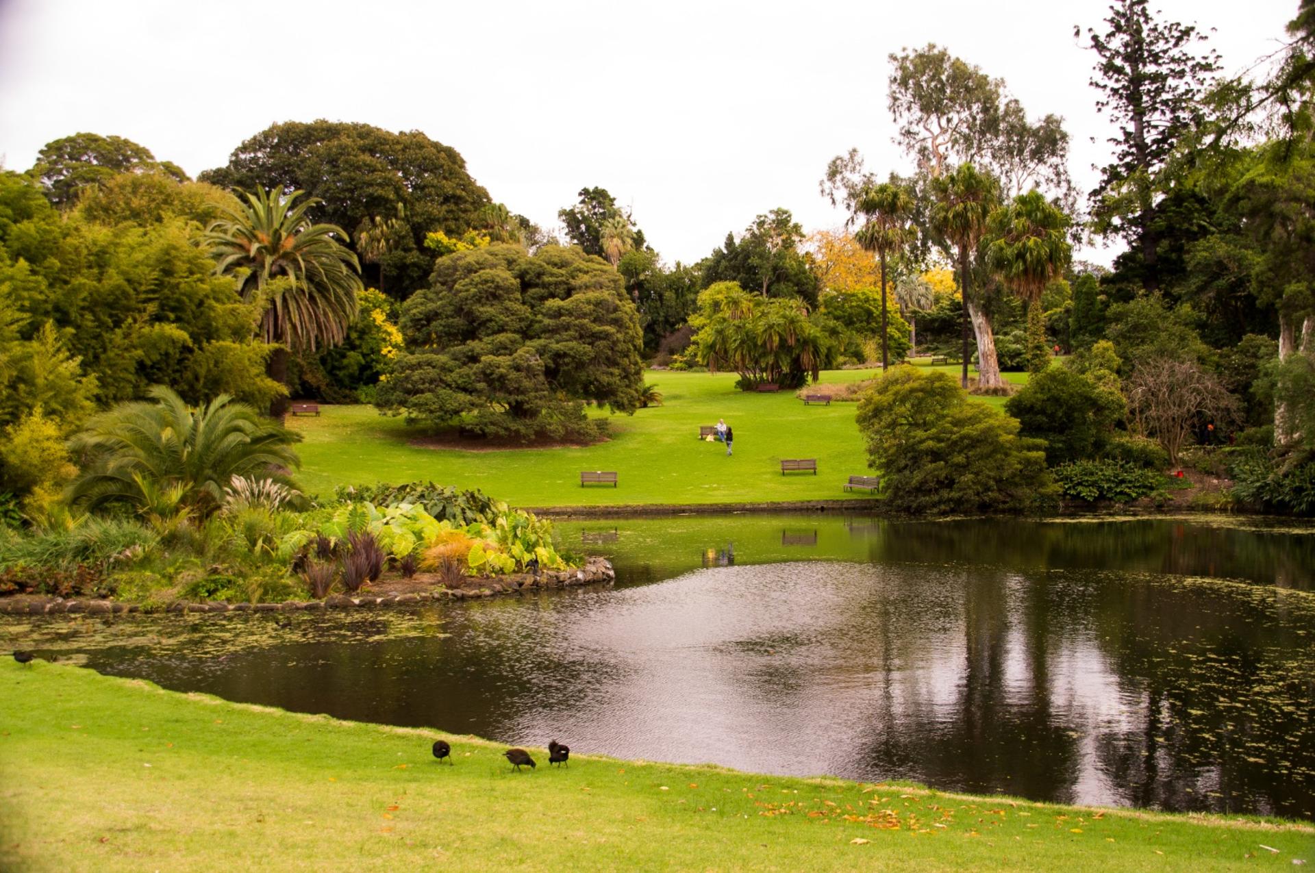 Hobart City Sightseeing Morning Tour - Thumbnail 5