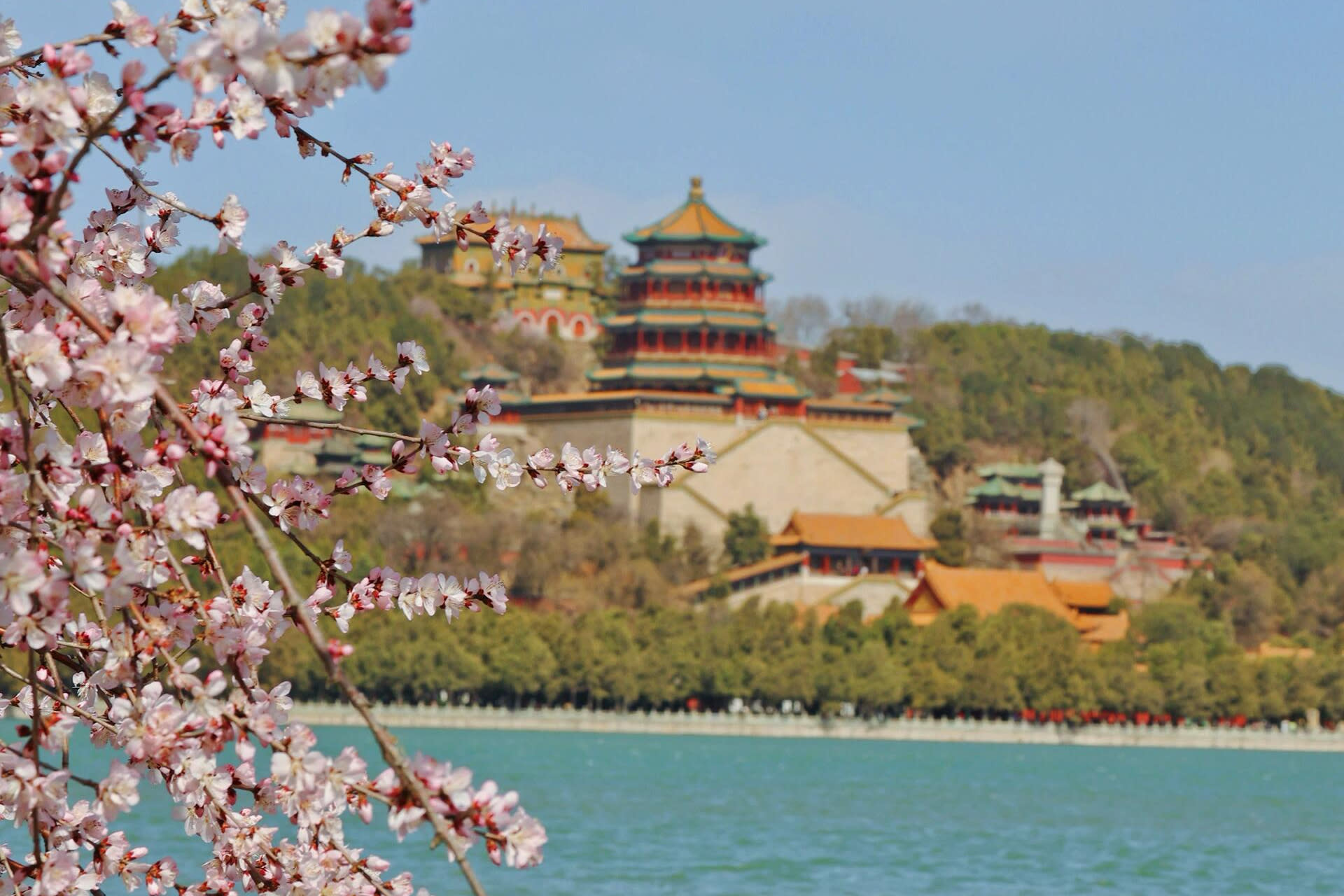 Beijing Temple of Heaven & Summer Palace Full-Day Guided Tour - Thumbnail 11