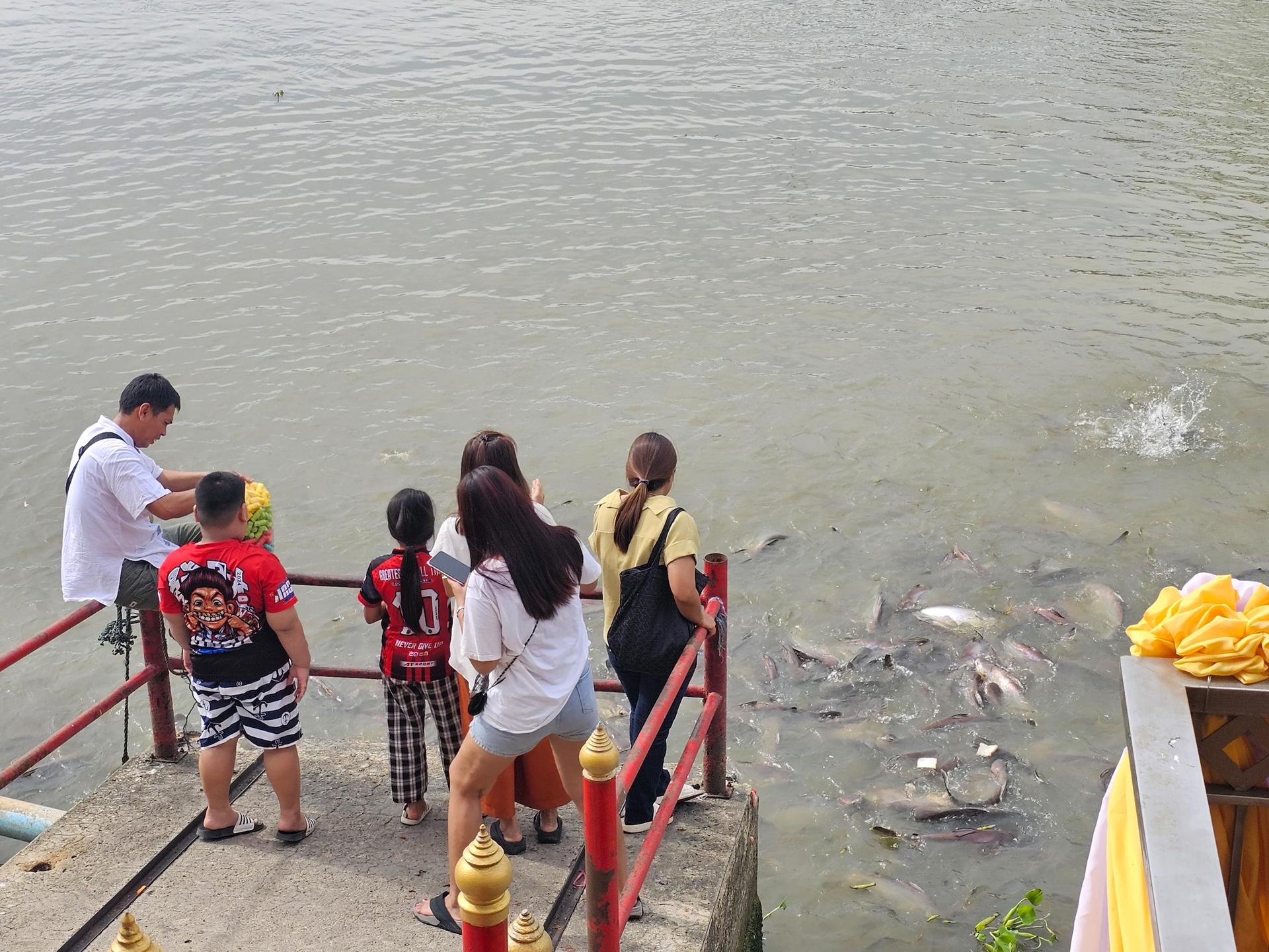 From Bangkok/Pattaya: Ayutthaya Private Day Trip with Boat Tour - Thumbnail 12