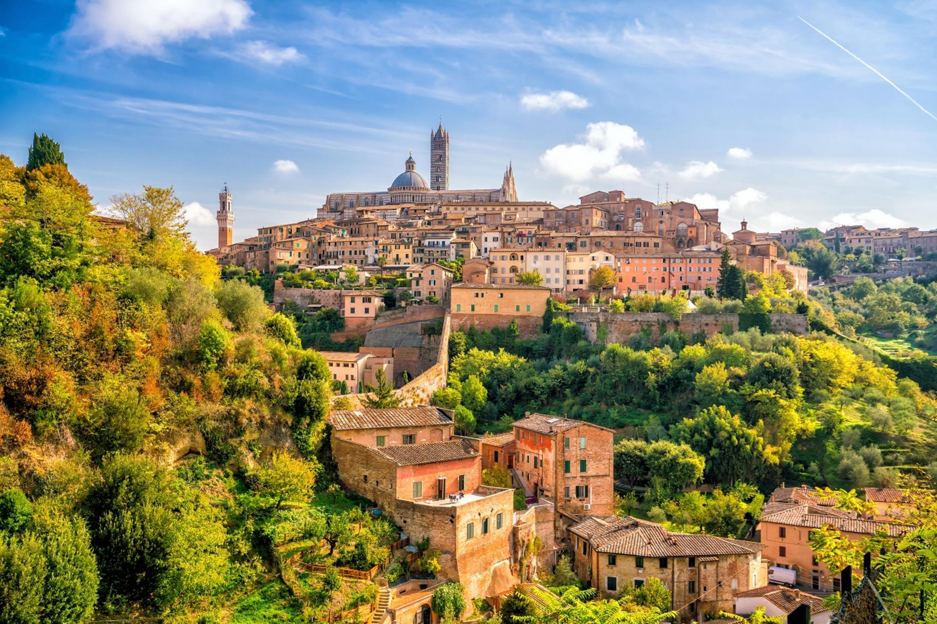 Pisa, Siena, San Gimignano with Lunch & Winery Experience - Thumbnail 9