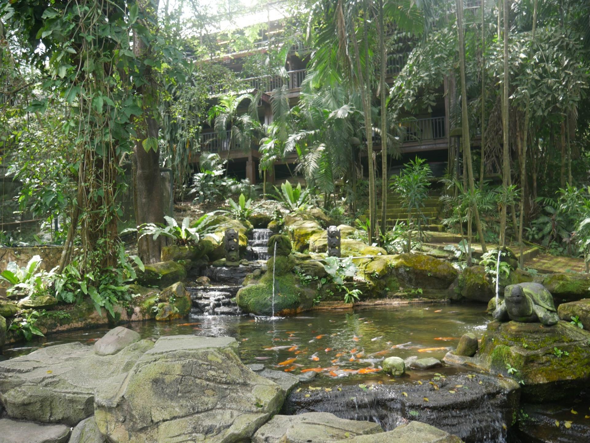 KL Bird Park Admission Ticket With One Way Transfer - Thumbnail 3