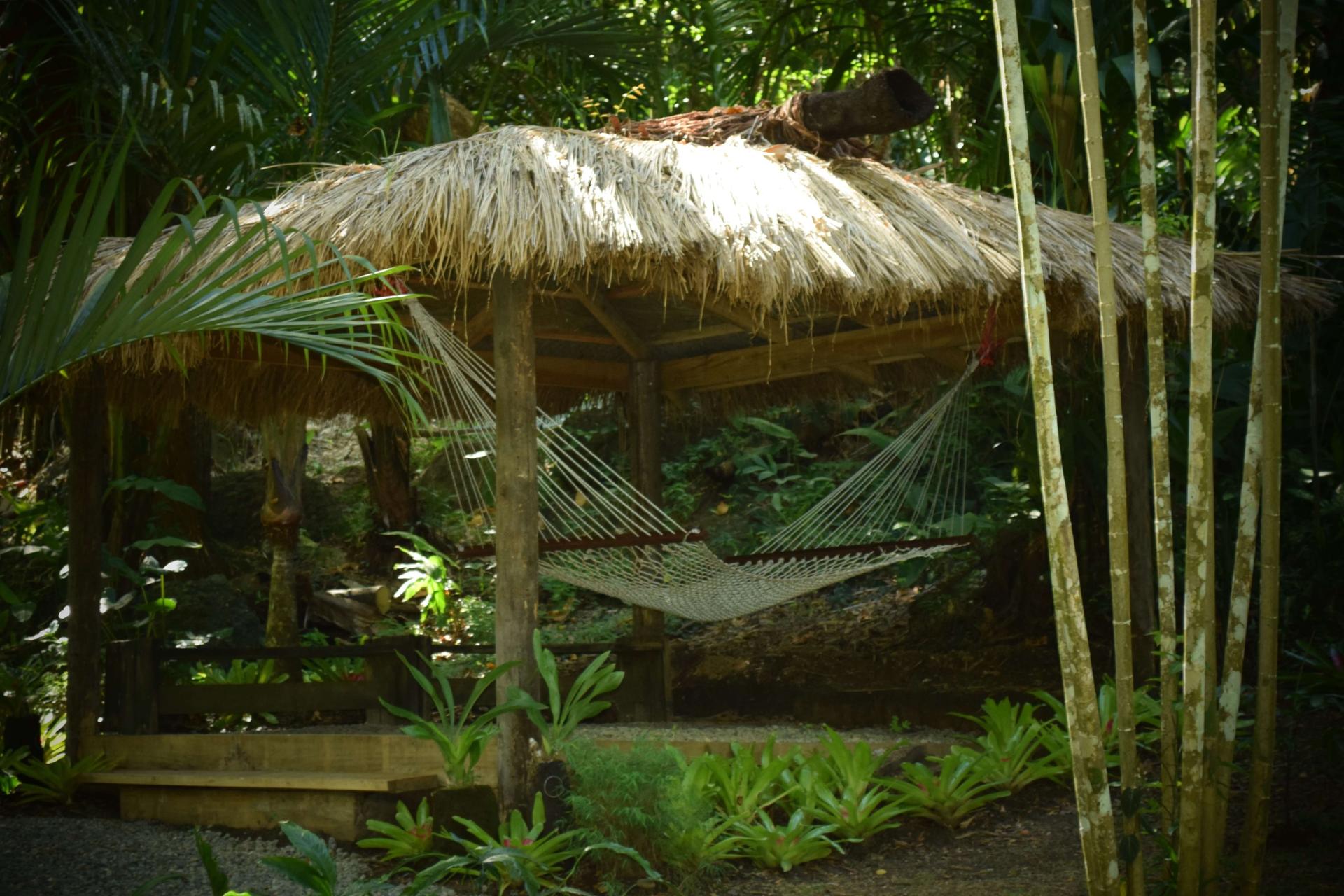 Nadi Therapeutic Mud Pools and Garden Tour in Fiji - Thumbnail 5