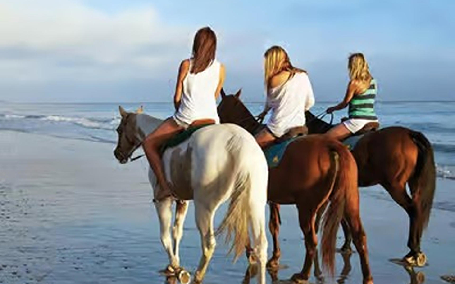 Antalya Horse Riding Experience - Thumbnail 4
