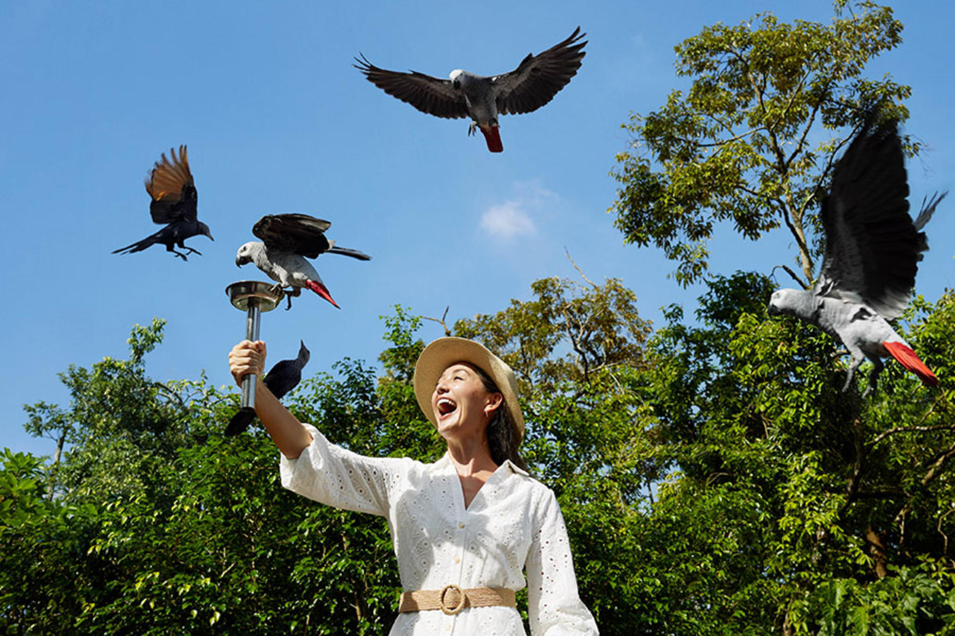 Bird Paradise Ticket | Mandai Wildlife Reserve, Singapore - Thumbnail 50