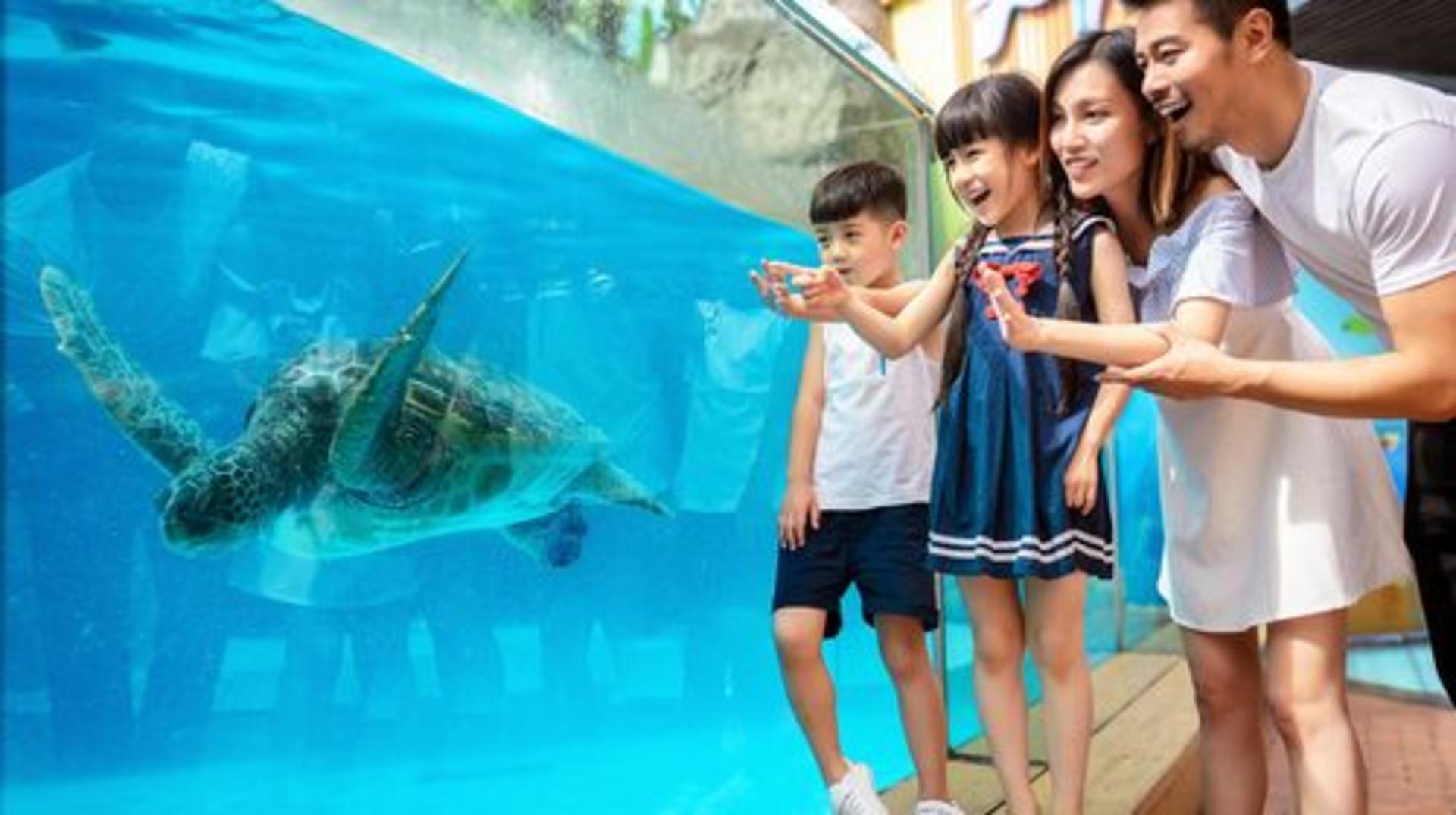 Chengdu Polar Ocean Park - Thumbnail 5