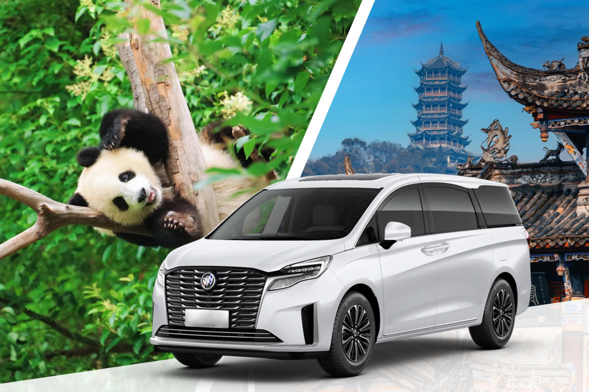 Private Car Tour: Chengdu Round Trip to Shenshuping Panda Base & Dujiangyan Irrigation System Day Tour - Image 1
