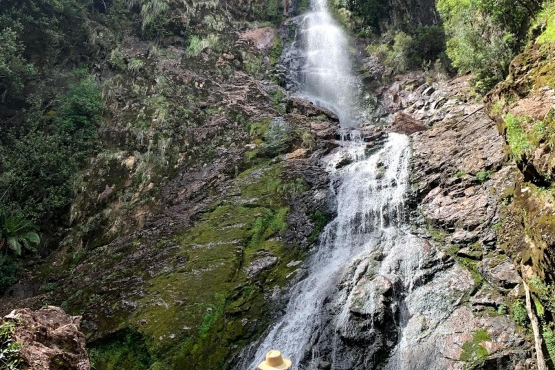 5D4N Famous 5 Tasmania Tour - Thumbnail 20