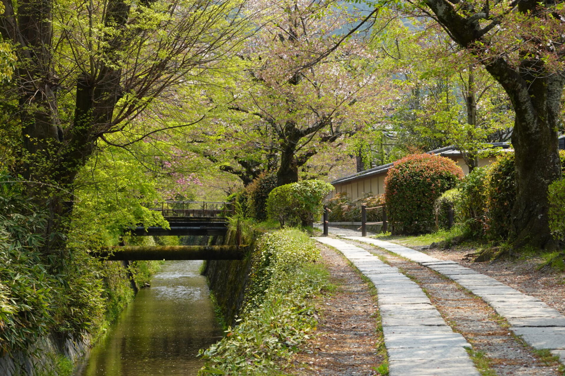 Bamboo Artistry & Zen Serenity Tranquility with Ginkaku-ji in Kyoto - Thumbnail 5