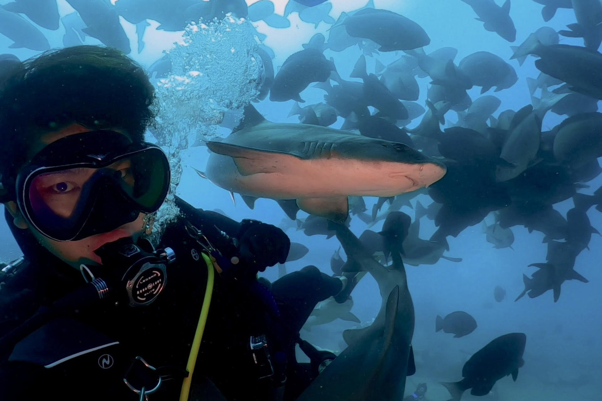 Izu Kogen Diving School Shibuya Branch - Thumbnail 6