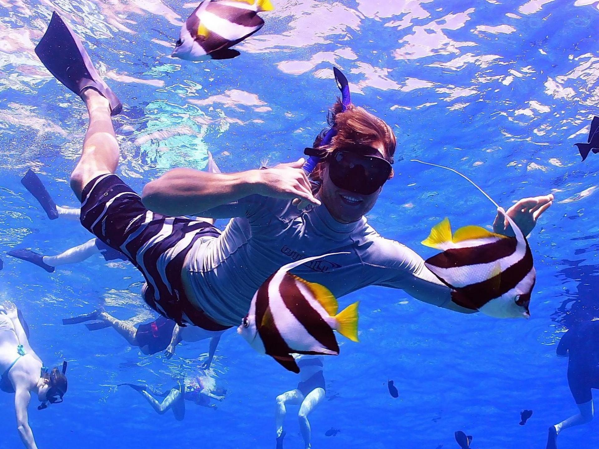 Molokini & Turtle Town Snorkel Adventure Aboard Calypso Catamaran - Thumbnail 6