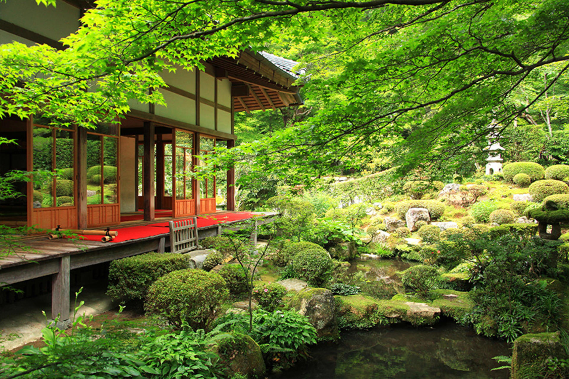 Kyoto Luxury Private Car Charter - Exploring Japanese Style - Thumbnail 11