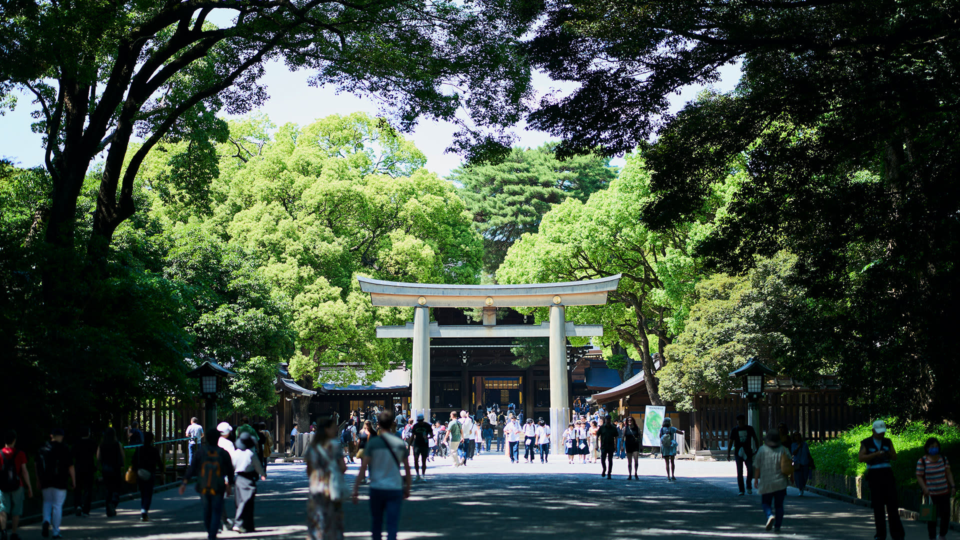 Tokyo: Meiji Shrine Walking Tour - Shintoism & Imperial System - Thumbnail 5