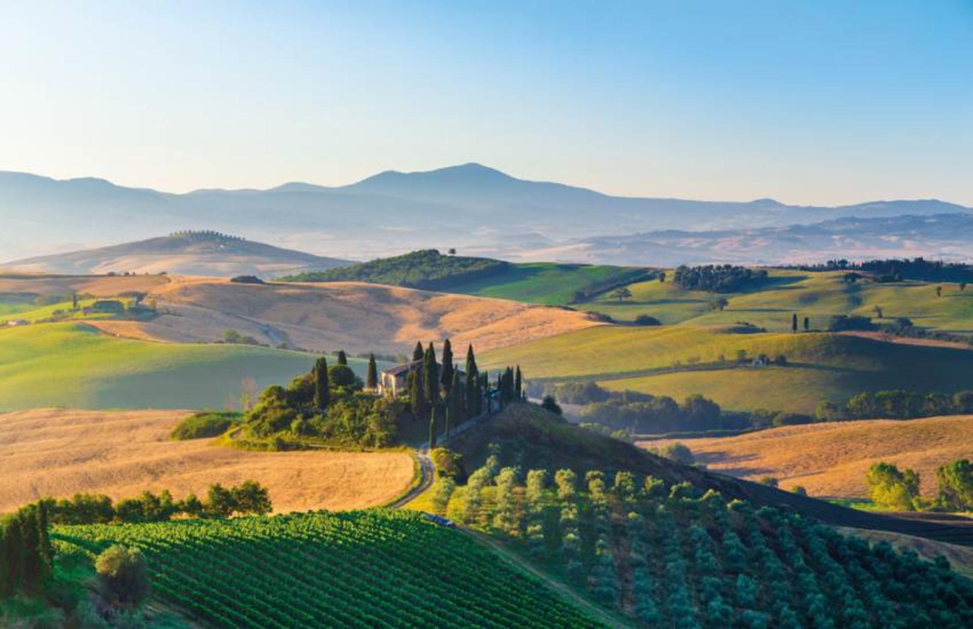 San Gimignano, Chianti and Montalcino Day Tour from Siena - Thumbnail 10