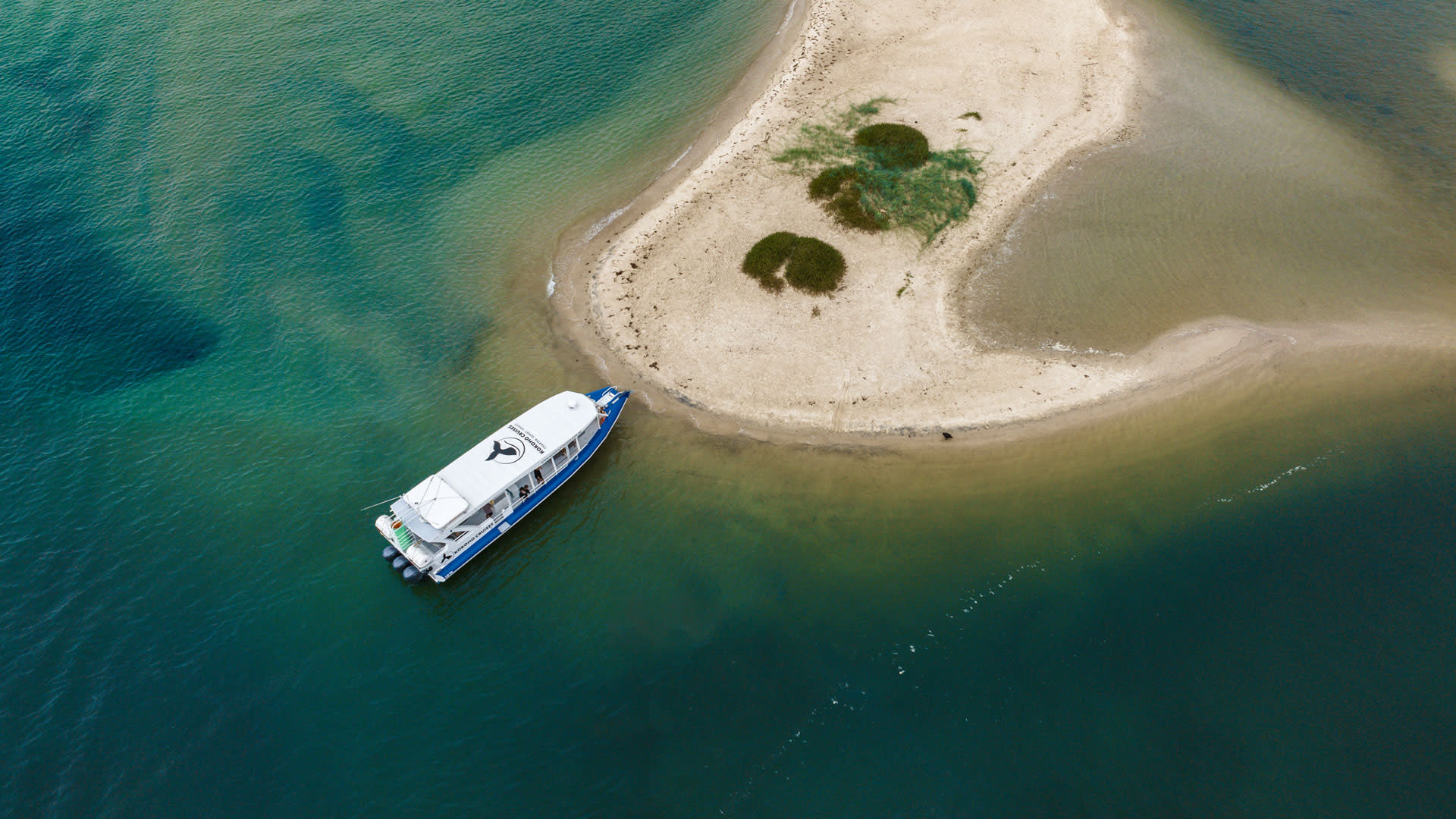 Gold Coast Cultural Cruise Experience - Thumbnail 6