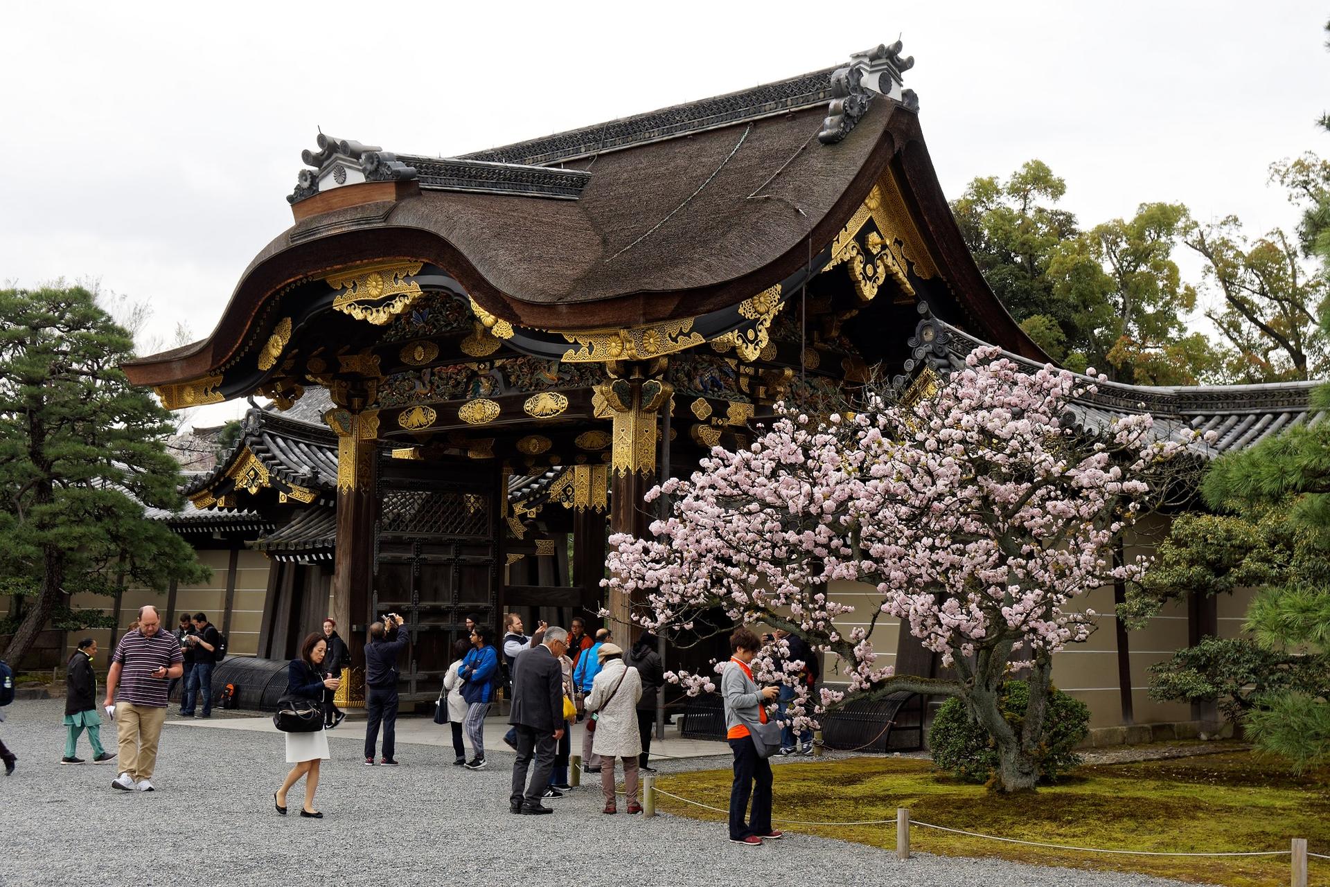 Kyoto Imperial Palace & Nijo Castle Small Group Guided Walking Tour - Image 1