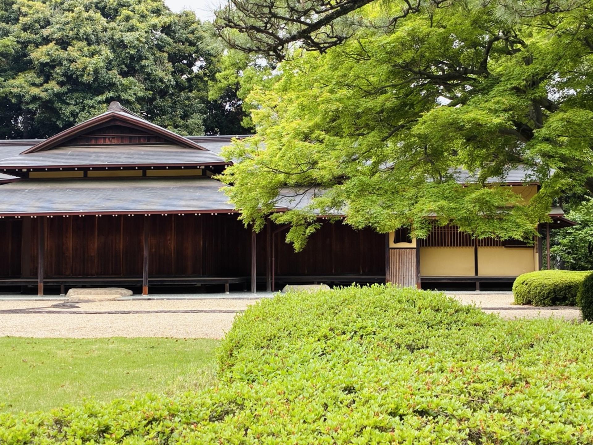 Tokyo: Imperial Palace & Shogun Castle Walking Tour - Thumbnail 24