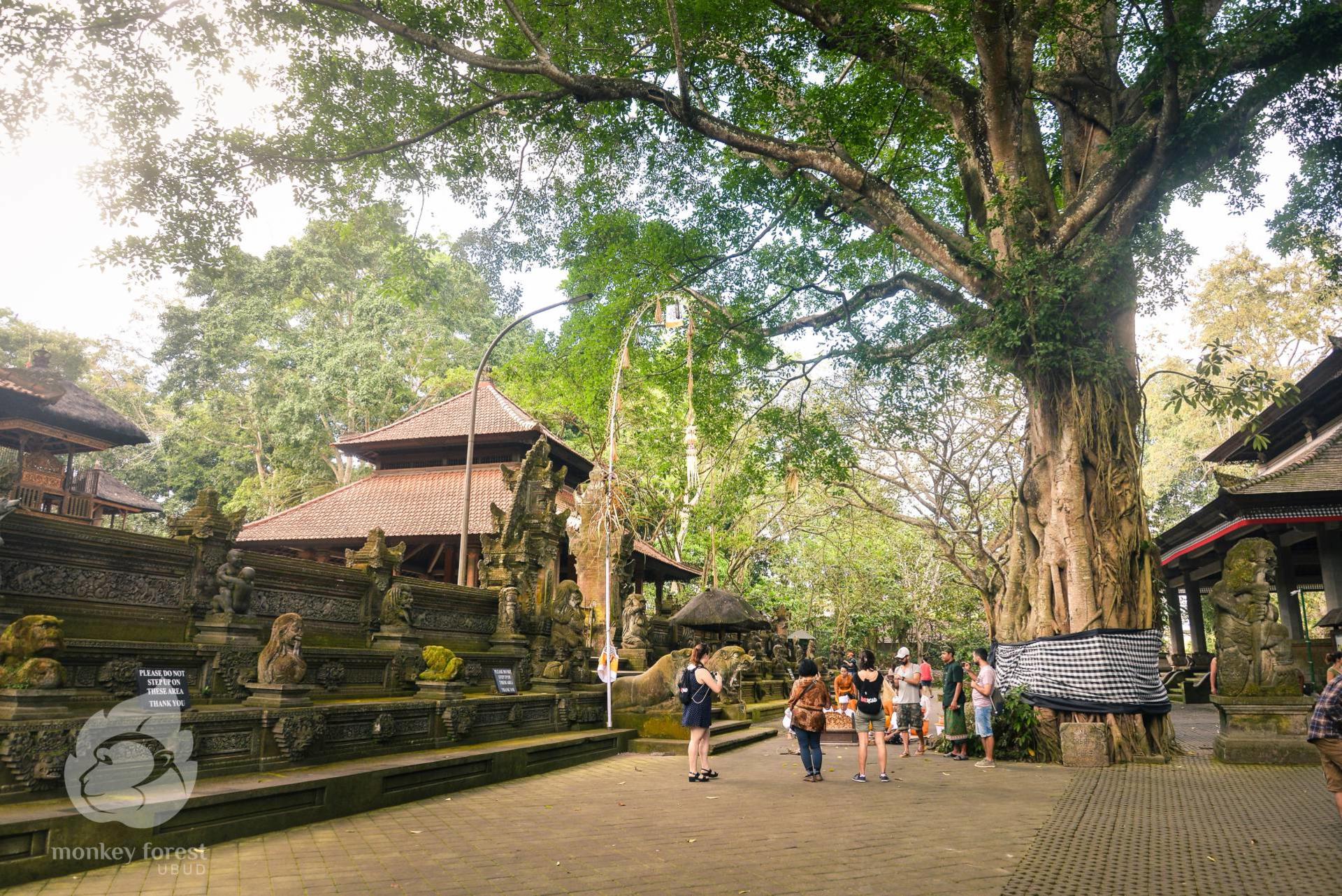 Sacred Monkey Forest Ubud Ticket - Thumbnail 5