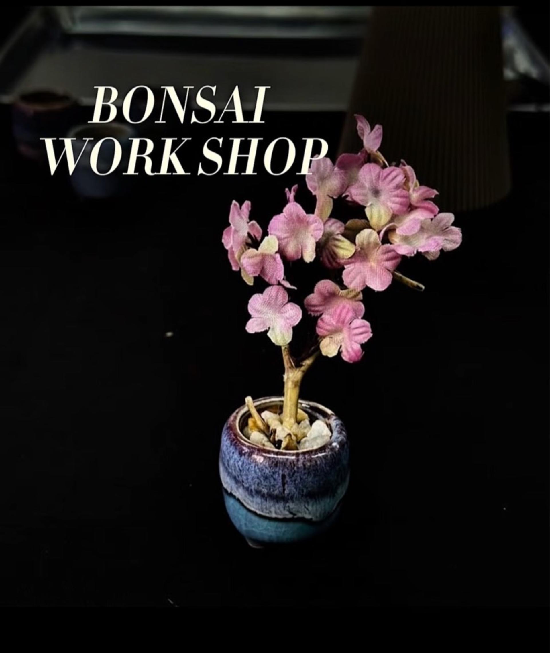 Kyoto:Make Your Own Mini Bonsai Workshop – Take It Home - Thumbnail 6