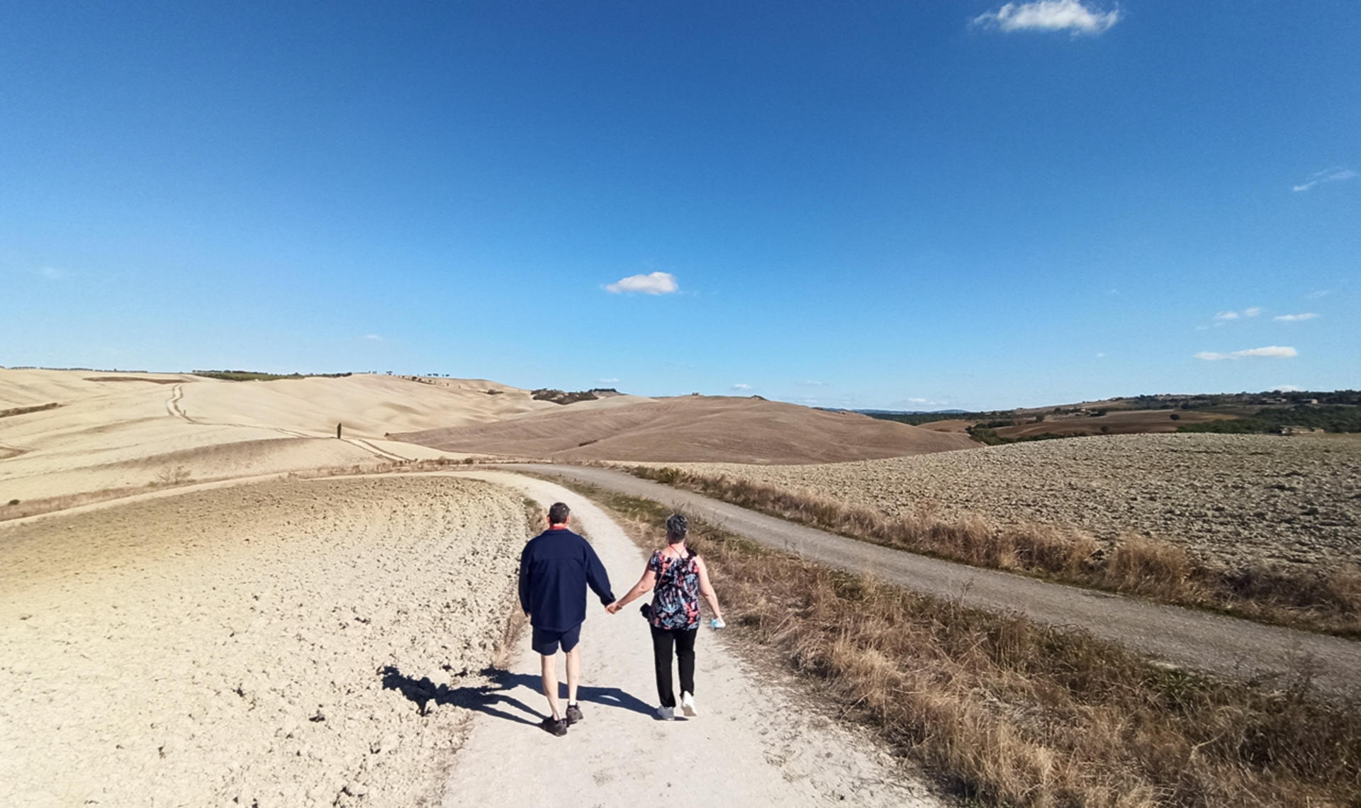 Val d'Orcia wine & cheese tasting experience from Florence - Thumbnail 6