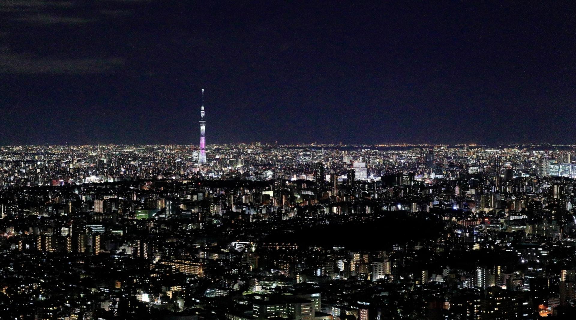 Sunshine 60 Observatory Tenbou Park Admission in Tokyo - Thumbnail 4