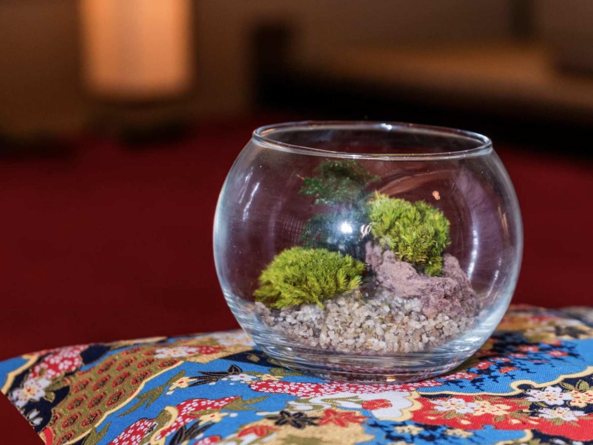 Asakusa Jusen-in Moss art experience - Thumbnail 10