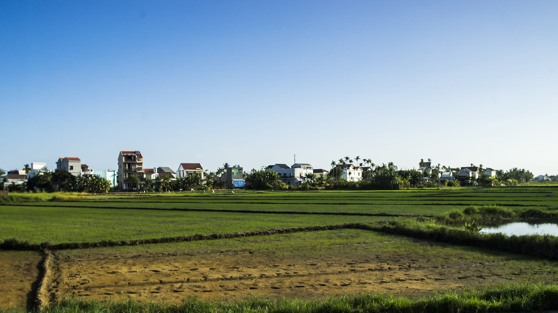 Modern Culinary Experience in Hoi An - Thumbnail 30