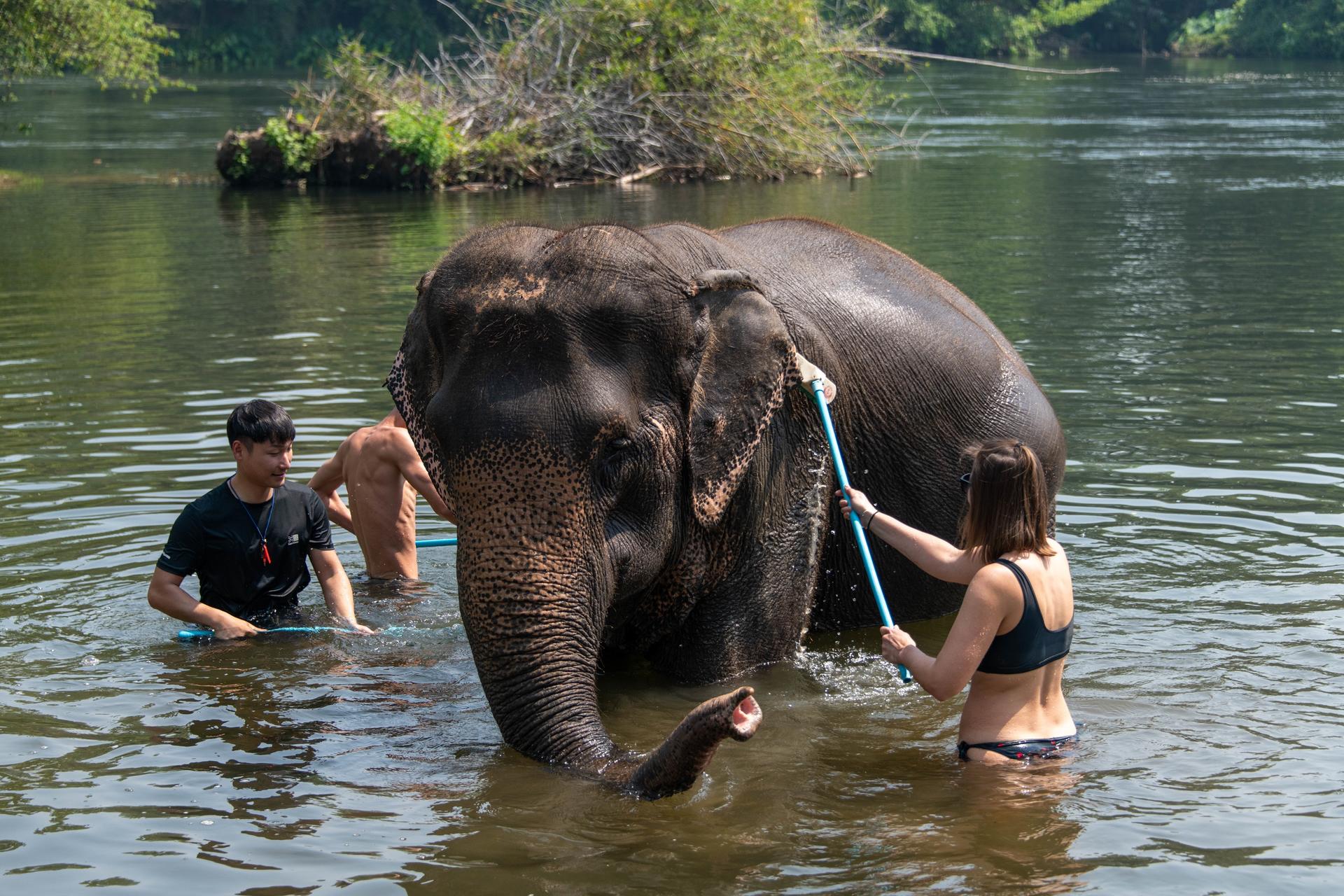 Elephant Sanctuary & Erawan Waterfall Full Day Tour from Bangkok - Thumbnail 2