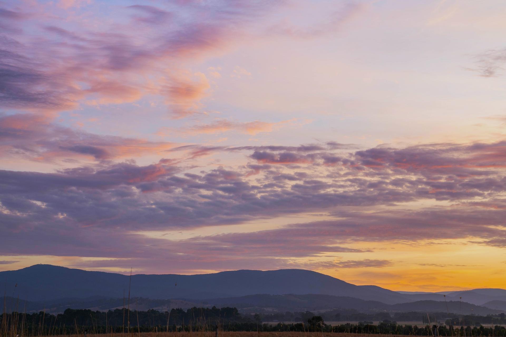 Yarra Valley Dairy Picnic Pack - Thumbnail 5