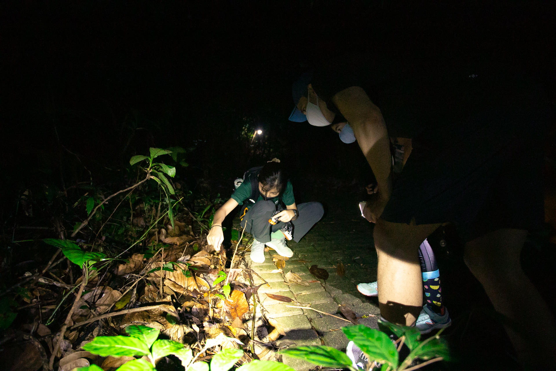Naturalist Night Adventure by The Untamed Paths - Thumbnail 8