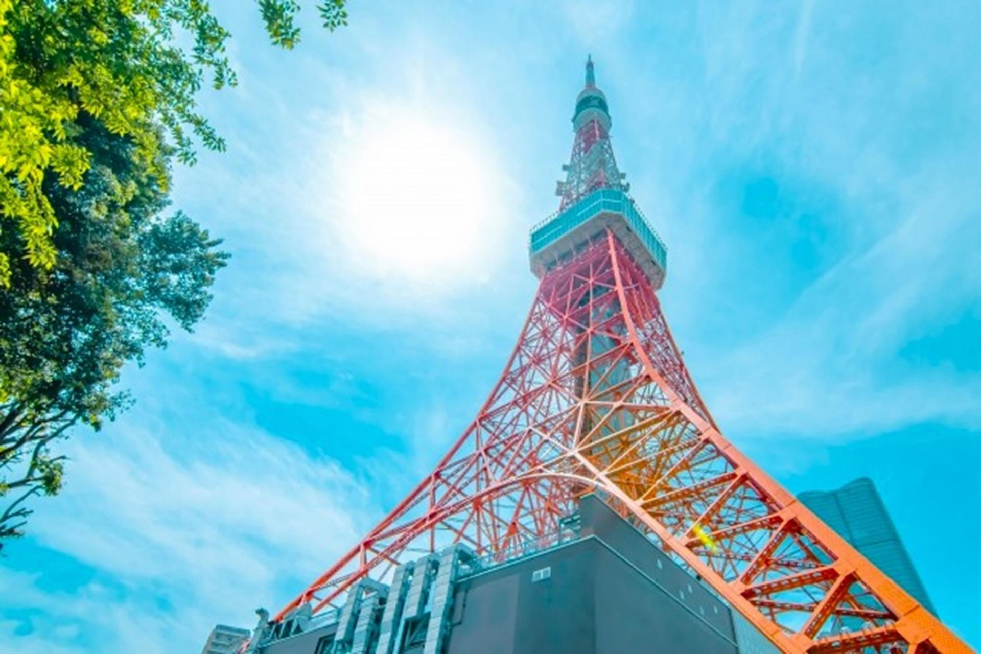 Tokyo: Sumo Entertainment with Japanese Meal at Tokyo Tower - Thumbnail 2