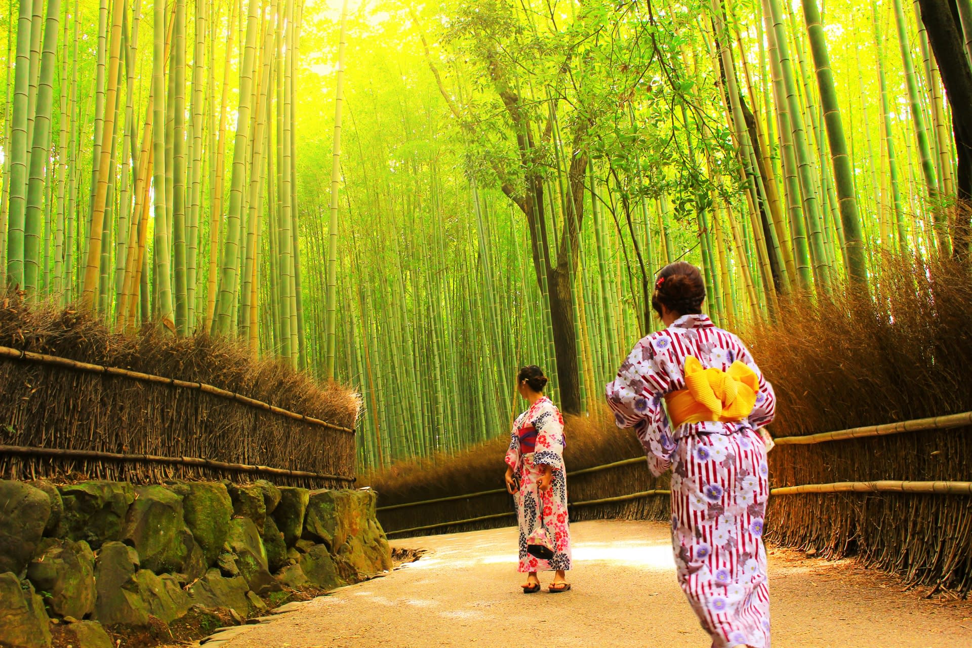 Kyoto Fushimi Inari Shrine Senbon Torii & Arashiyama Bamboo Forest Togetsukyo Bridge & Nara Park Todai-ji Temple Day Tour [A5 Black Wagyu "Kobe Beef" Upgrade Available (Osaka/Kyoto Departure)] - Thumbnail 2