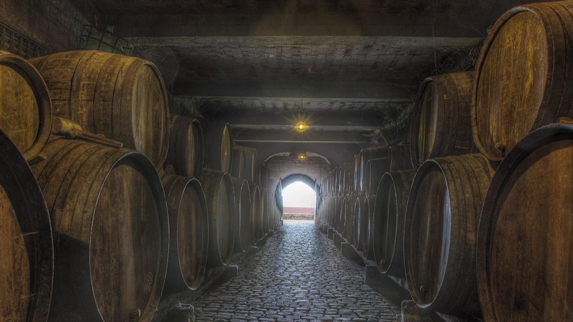 Winery Visit and Tasting Experience by Bodegas Monje - Image 1