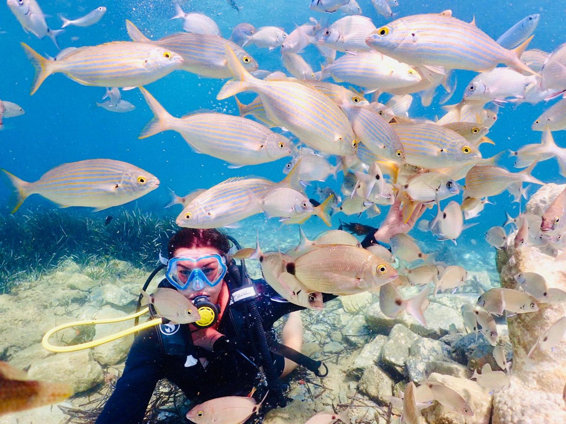 Kusadasi Diving Tour with Transfer and Lunch - Thumbnail 7