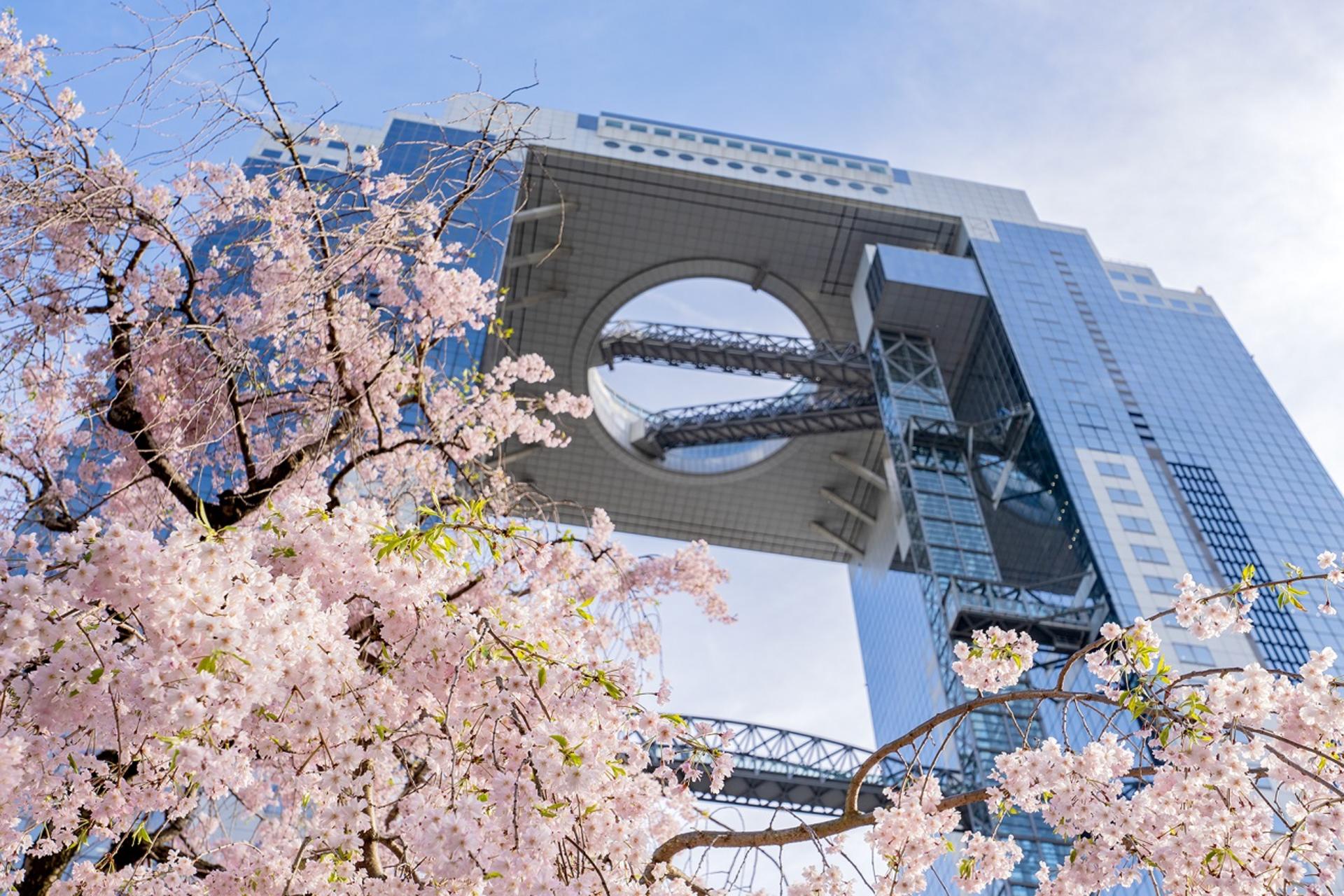 Umeda Sky Building & Kuchu Teien Observatory Ticket in Osaka - Thumbnail 7