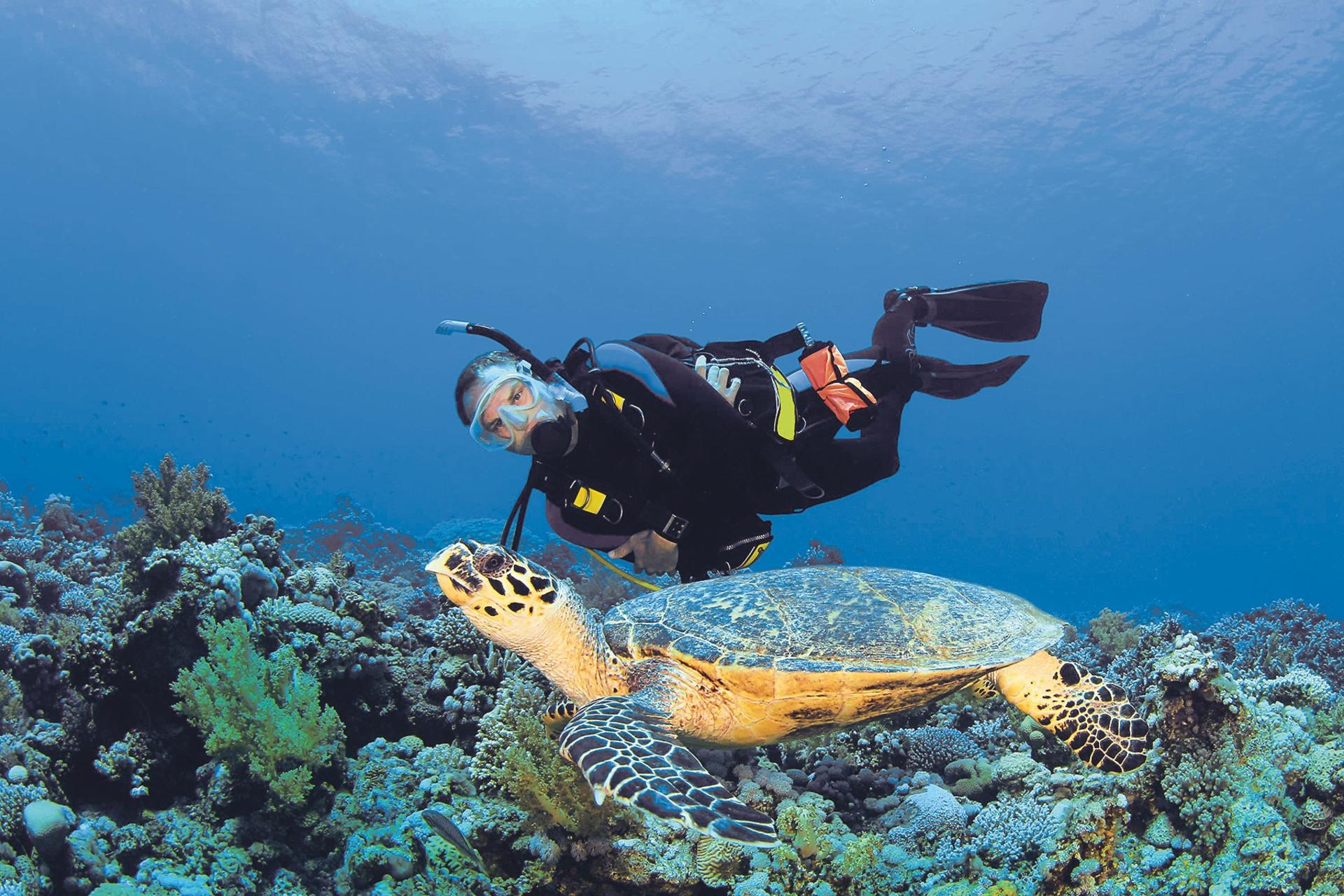 Scuba Diving in Fethiye with Lunch & Roundtrip Transfer  - Thumbnail 2