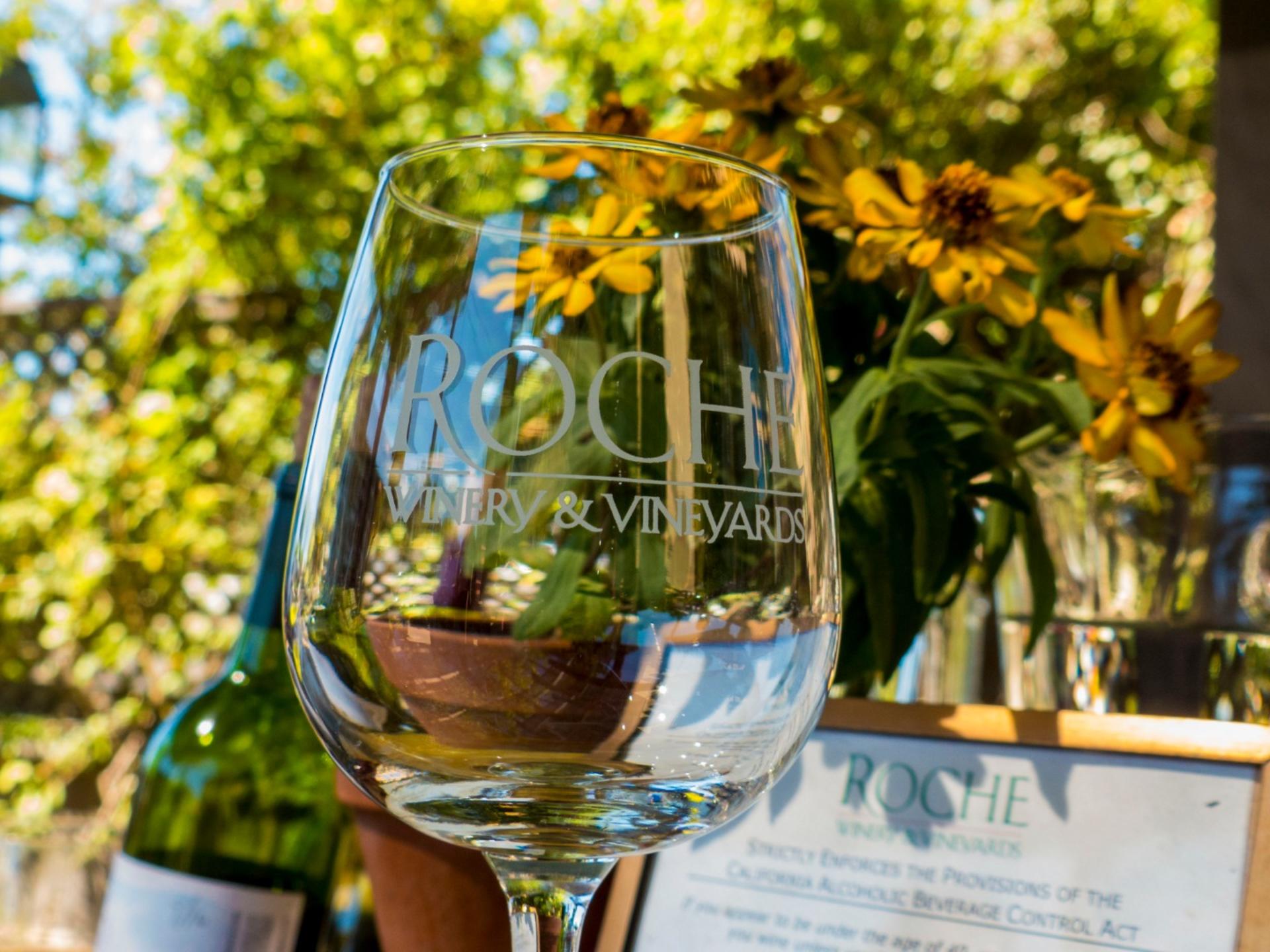Sonoma and Napa Valley Wine Country Day Tour from San Francisco - Thumbnail 2