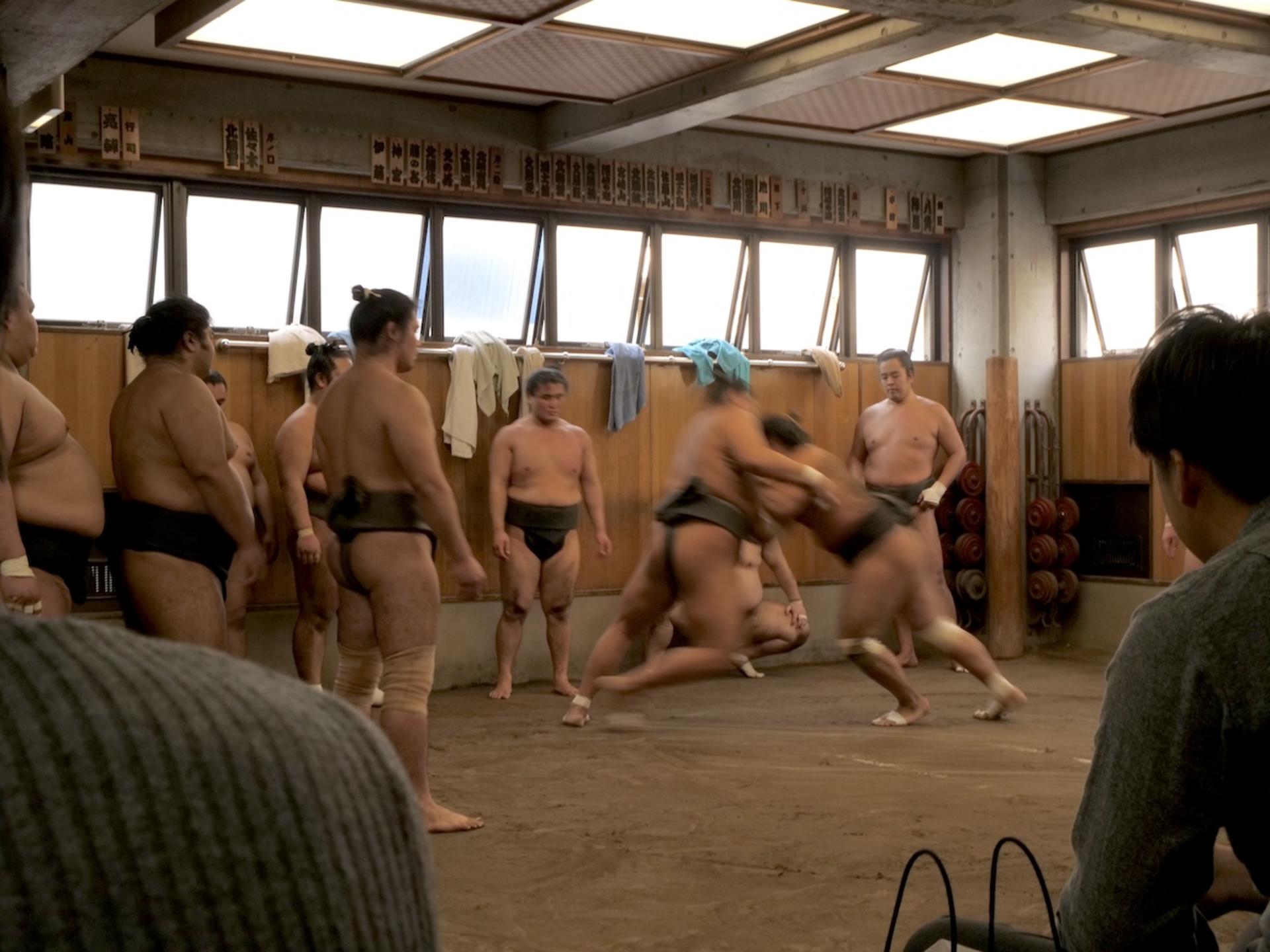 Tokyo Sumo Morning Practice Tour with Ring-Side Seats + Photo Shoot - Thumbnail 4