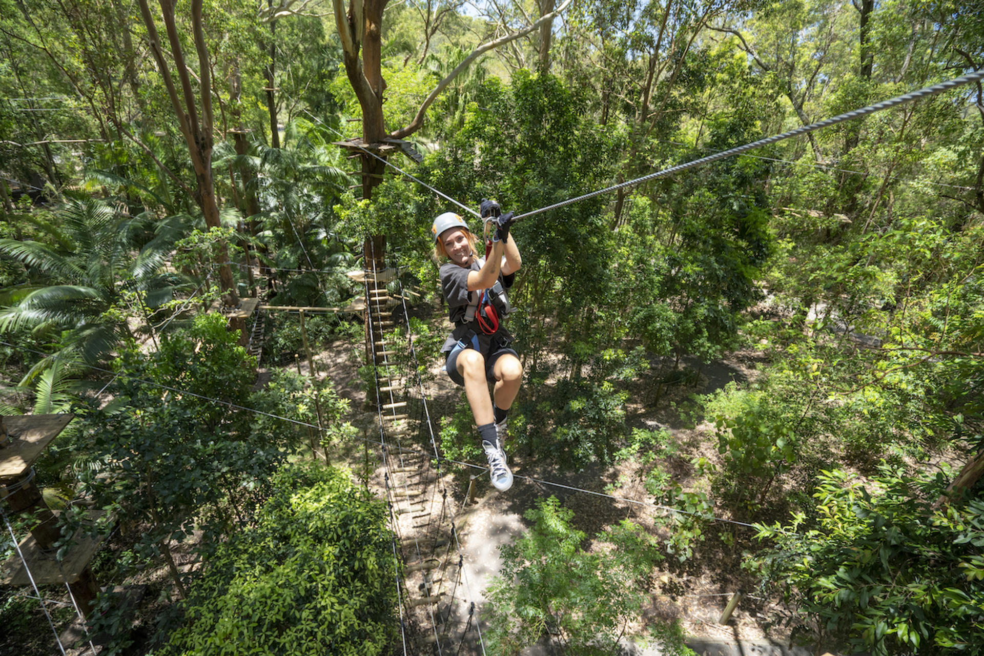 Experience Pass Currumbin Wildlife Sanctuary and Zipline - Thumbnail 6