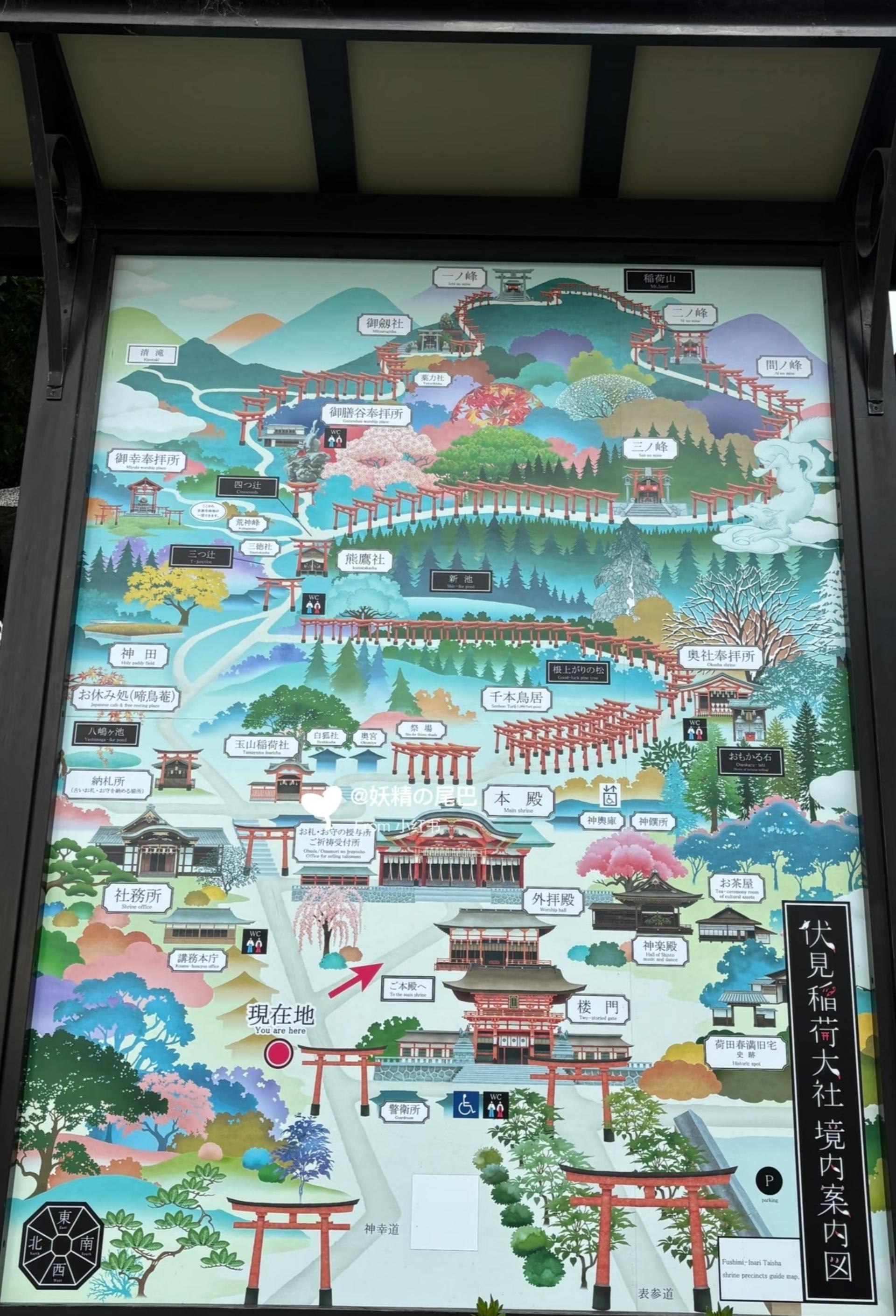 Kyoto one-day private tour (1~4 people) - Thumbnail 27