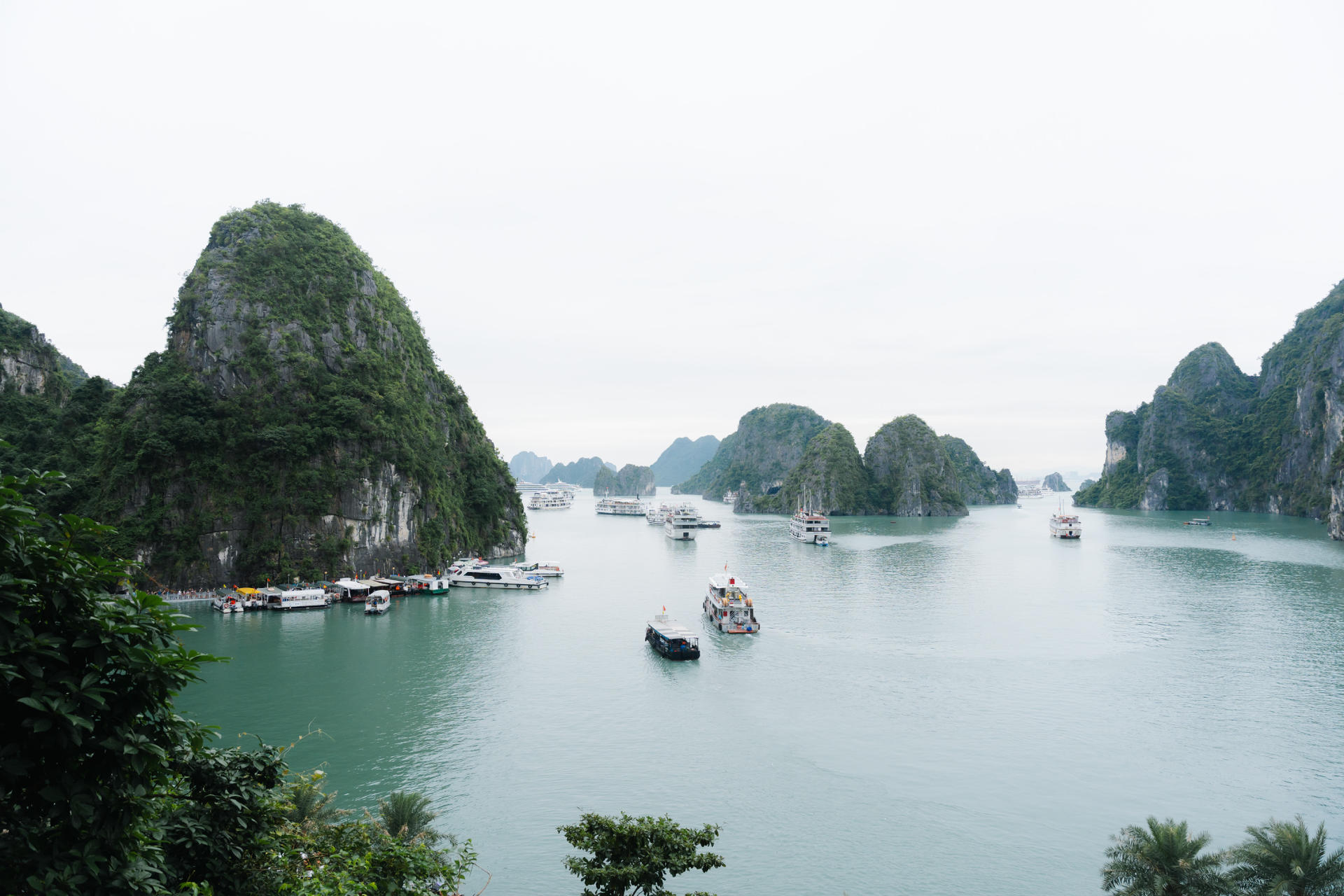 Freedom Cruise 2D1N: Ha Long Bay with Sung Sot & Ti Top - Thumbnail 15