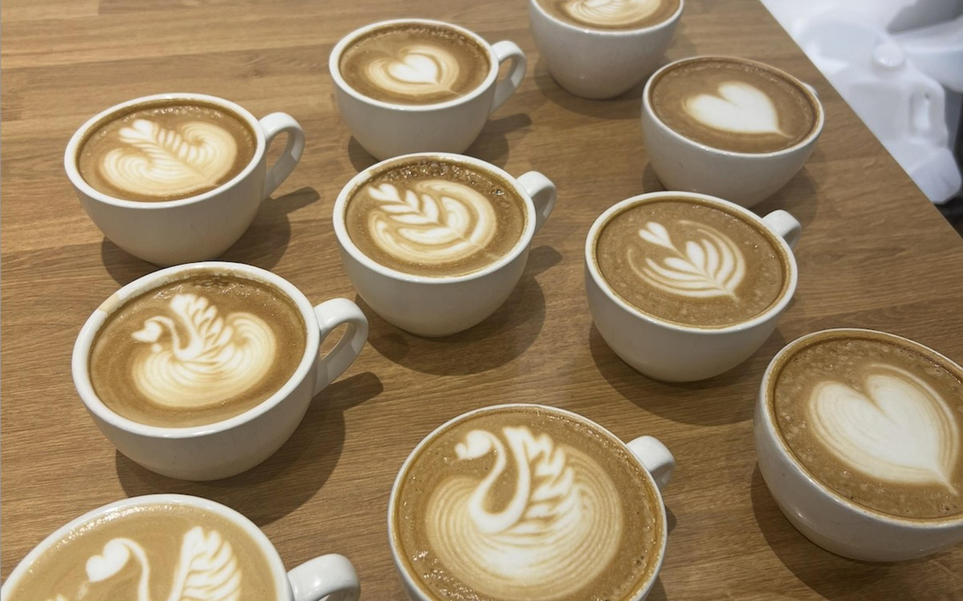 Barista & Latte Art Workshop in Melbourne - Thumbnail 3