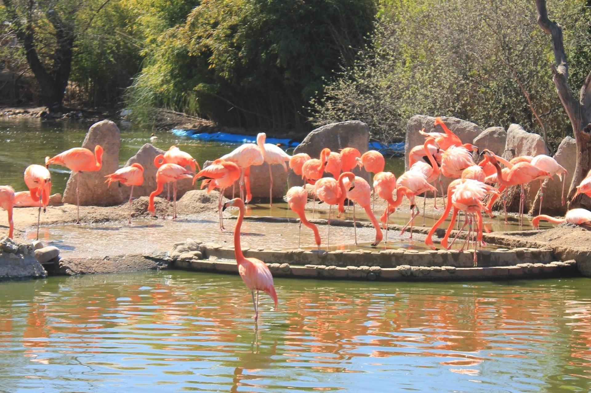 Faunia Nature Park Admission in Madrid - Image 1