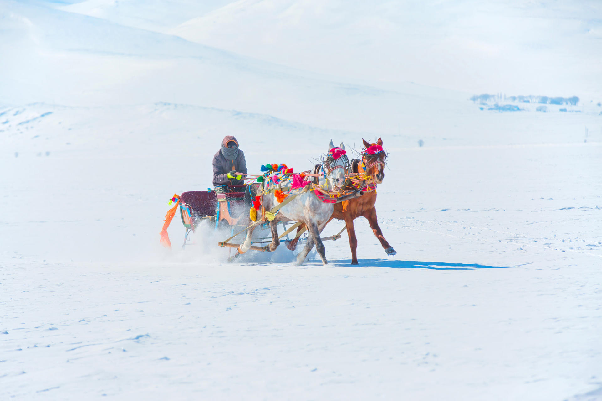 Beijing + Harbin 7-Day 6-Night Winter Dual-City Private Tour - Image 1